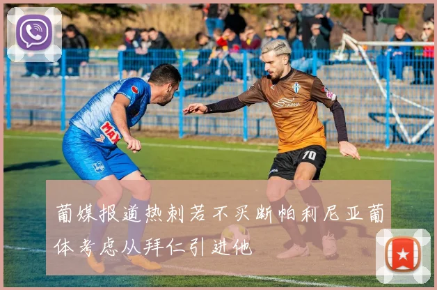 葡媒报道热刺若不买断帕利尼亚葡体考虑从拜仁引进他
