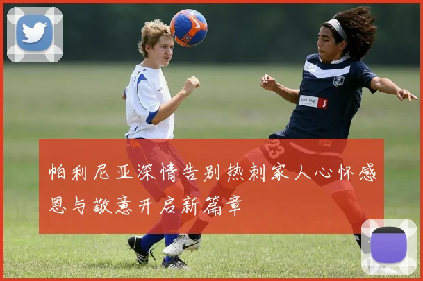 帕利尼亚深情告别热刺家人心怀感恩与敬意开启新篇章
